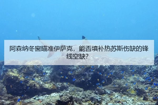 阿森纳冬窗瞄准伊萨克，能否填补热苏斯伤缺的锋线空缺？