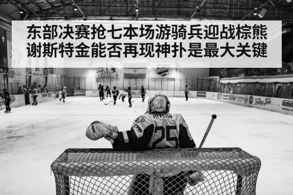 ice hockey playoff action